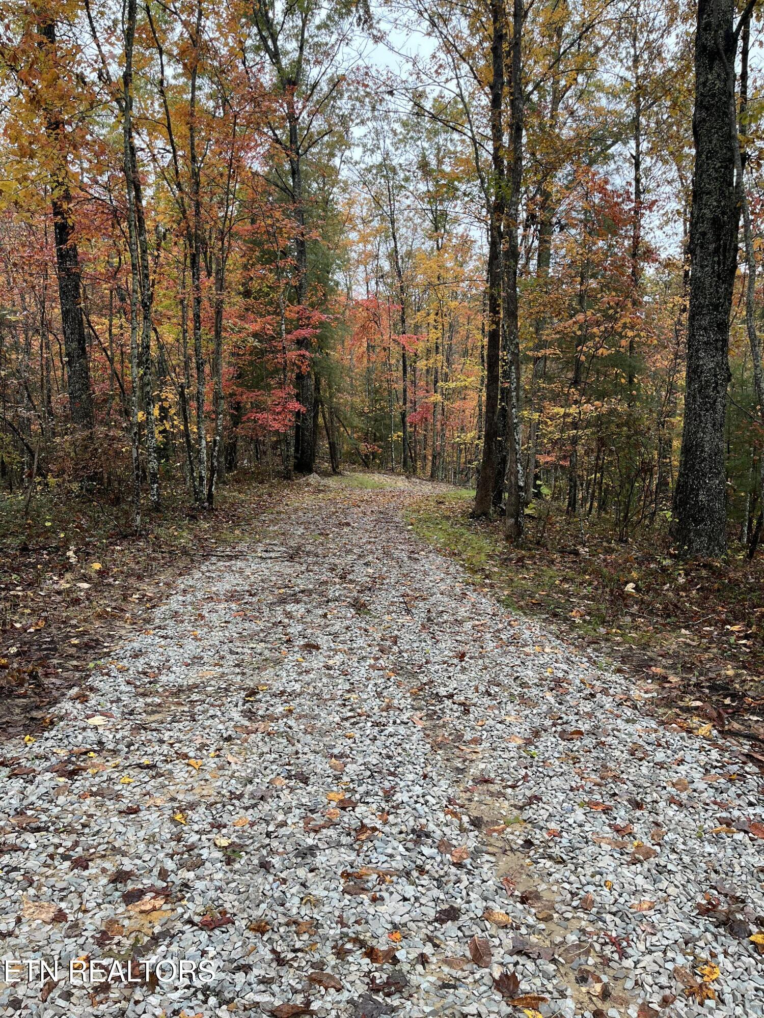 0 West Wilderness Trail Oneida, TN 37841 - Photo 4 of 10 2556FC39-7499-4603-910B-5BD355211150