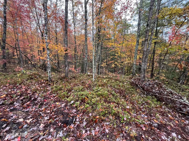 $70,000 | 0 West Wilderness Trail, Oneida, TN 37841
