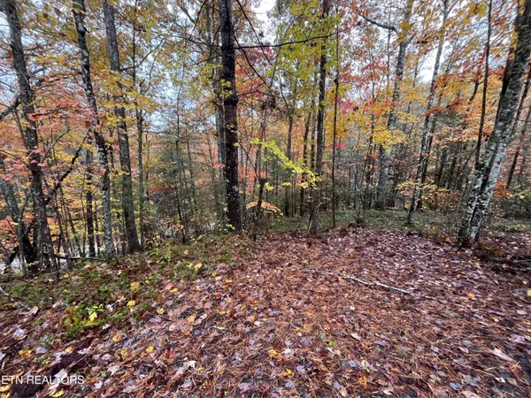 $70,000 | 0 West Wilderness Trail, Oneida, TN 37841