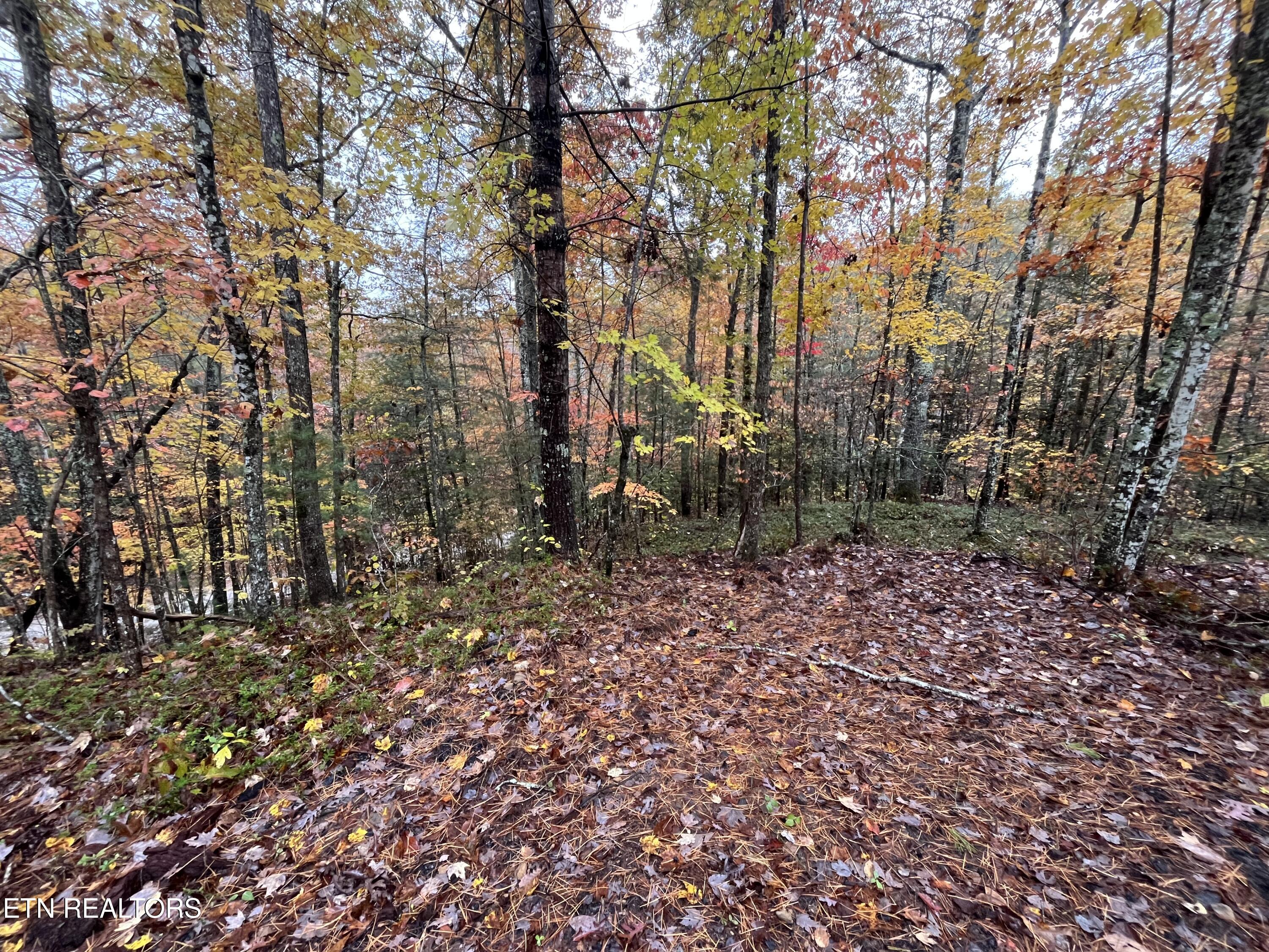0 West Wilderness Trail Oneida, TN 37841 - Photo 6 of 10 3194B8C6-20B6-44BF-9EBB-74261EB5768A