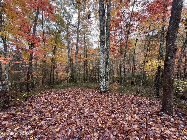 $70,000 | 0 West Wilderness Trail, Oneida, TN 37841