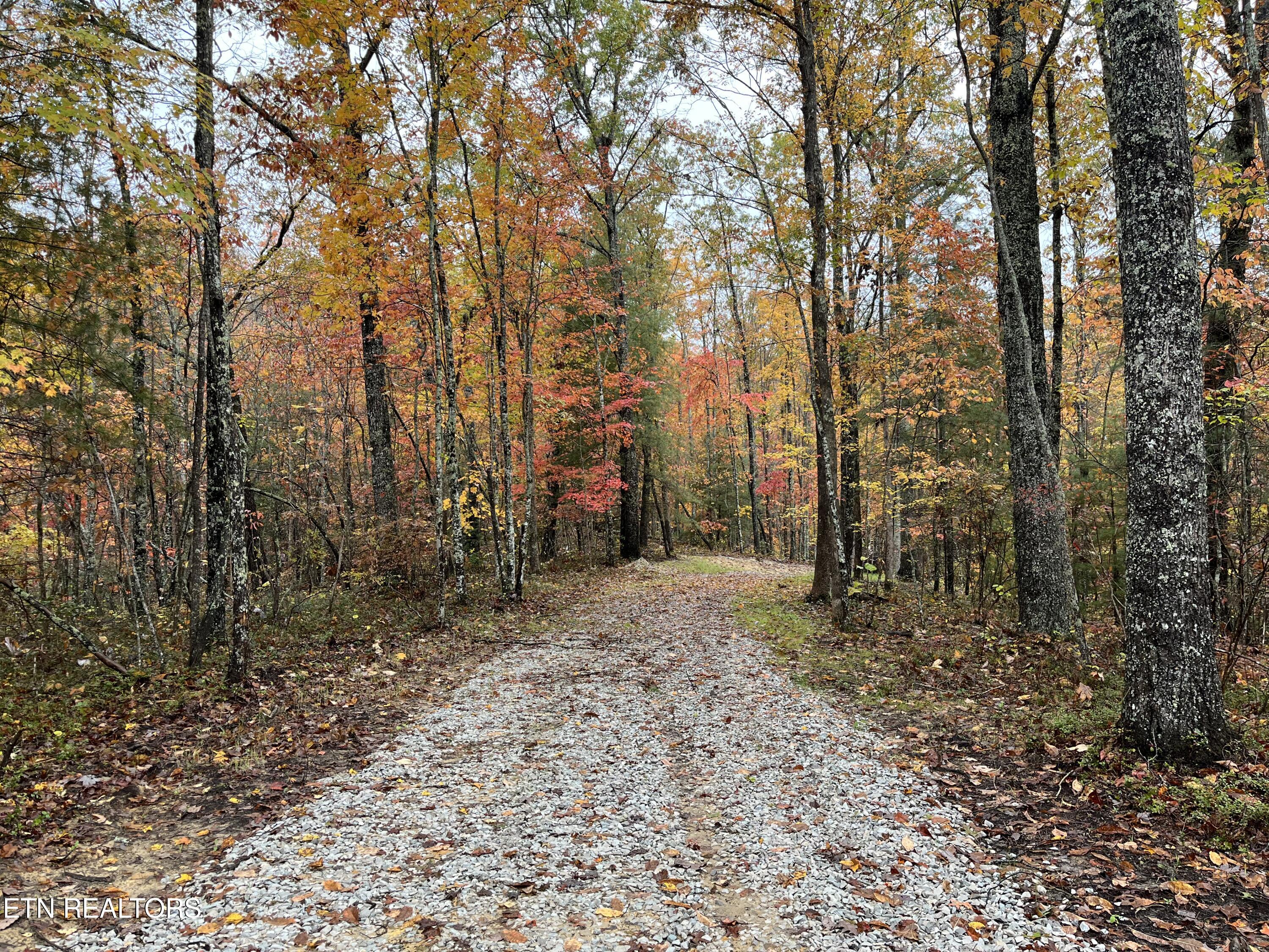 0 West Wilderness Trail Oneida, TN 37841 - Photo 10 of 10 011770BD-B5C0-45EF-98BC-42F77C552B8E