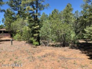 2880 West Falling Leaf Road, Unit 1 Show Low, AZ 85901 - Photo 2 of 3 IMG_3231