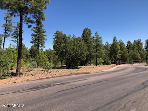 2880 West Falling Leaf Road, Unit 1 Show Low, AZ 85901 - Photo 3 of 3 IMG_3229