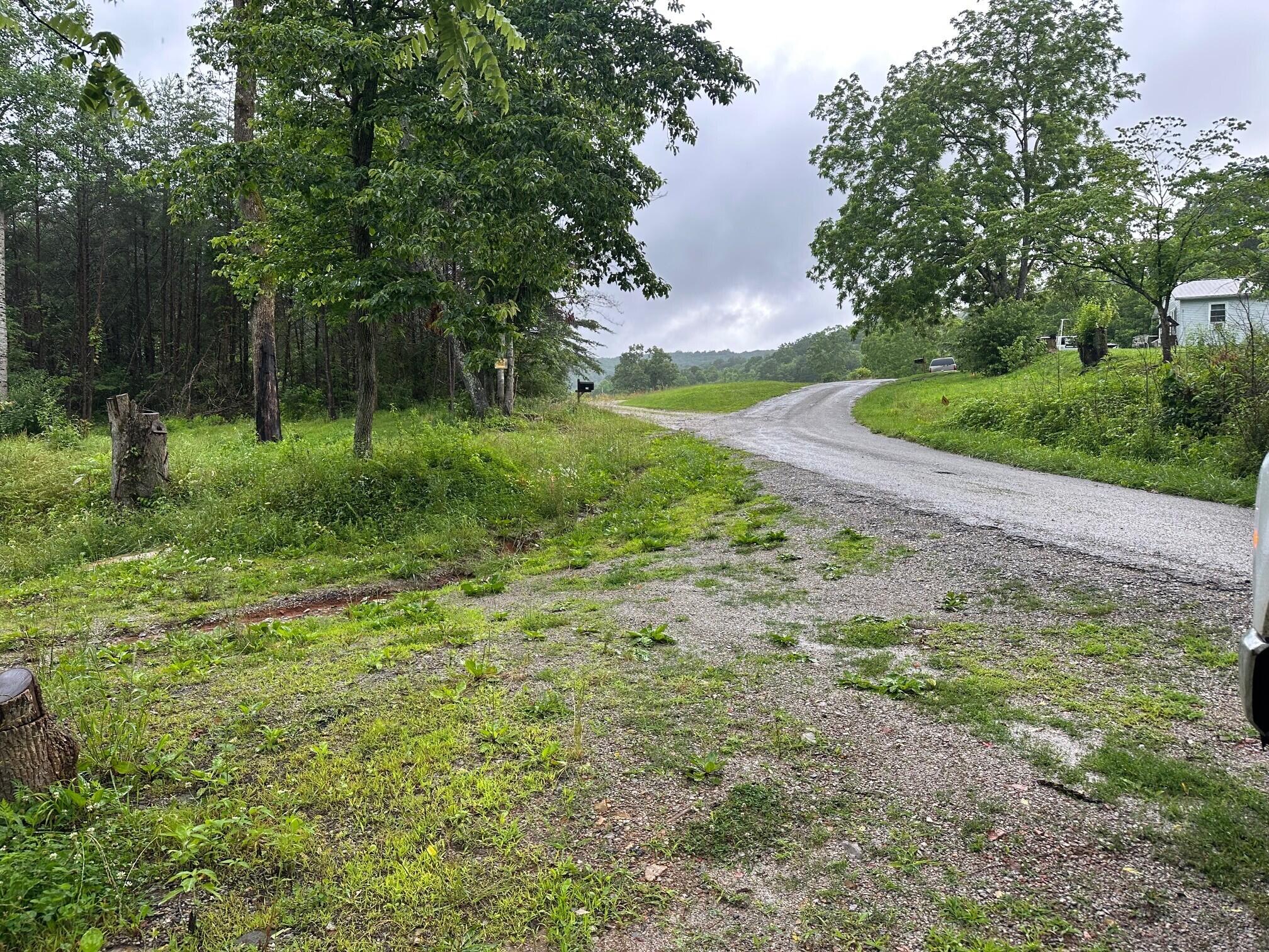 Lot 4 Sawmill Road, Unit LOT 4 Palmer, TN 37365 - Photo 1 of 9 2