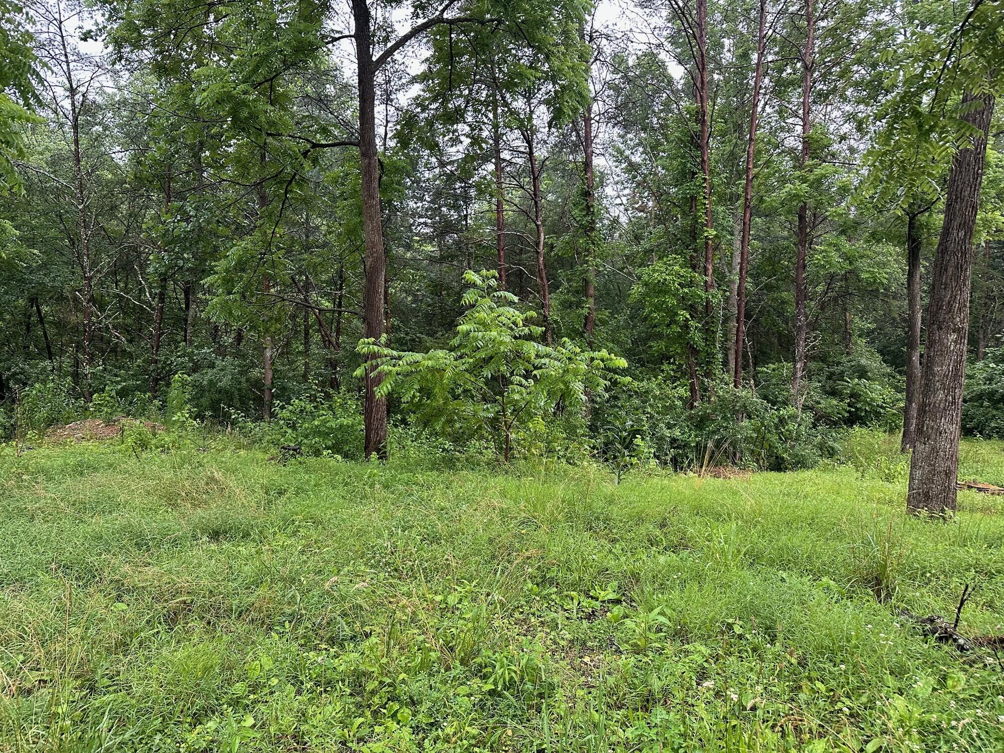 Lot 4 Sawmill Road, Unit LOT 4 Palmer, TN 37365 - Photo 2 of 9 1