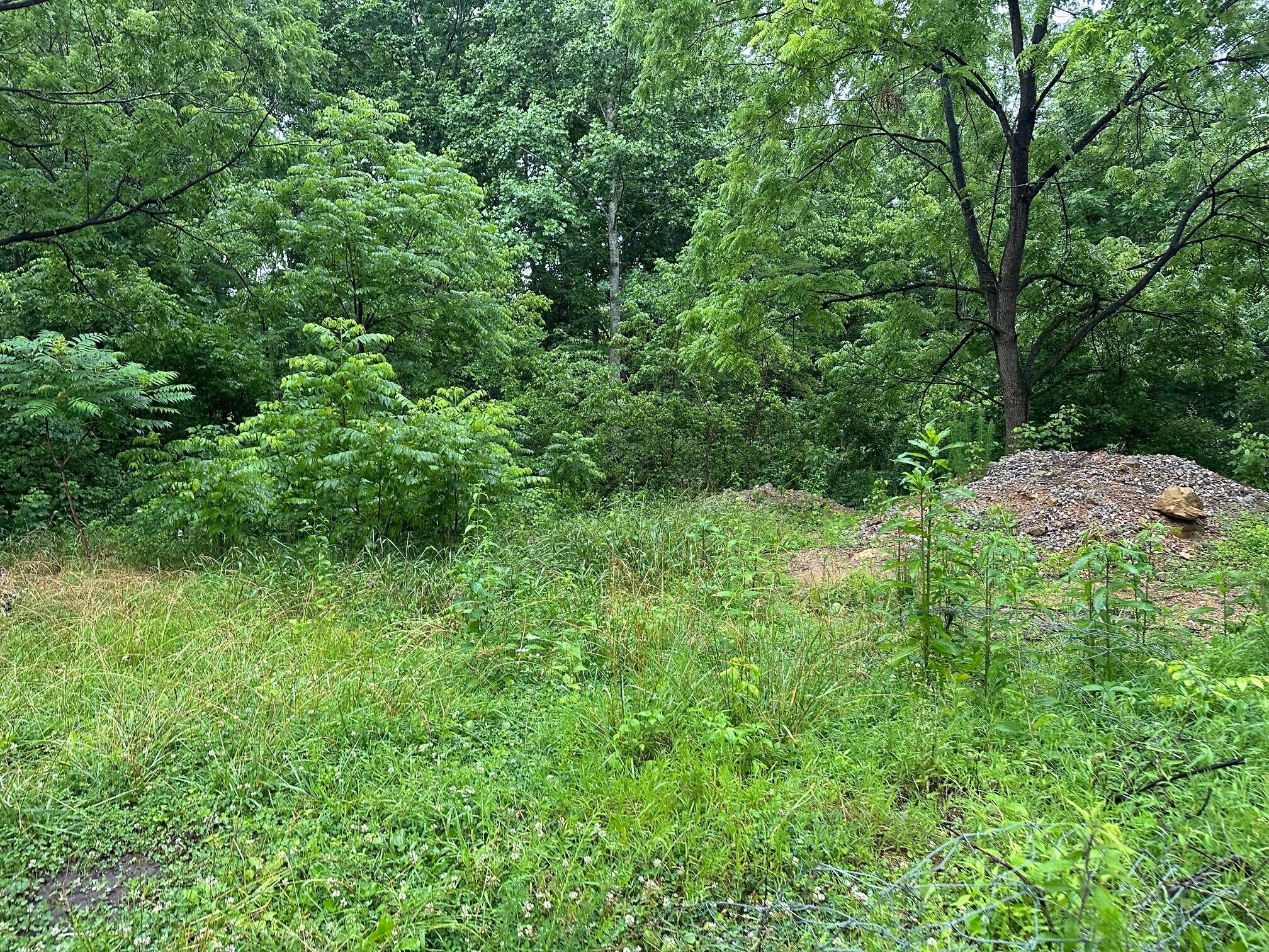 Lot 4 Sawmill Road, Unit LOT 4 Palmer, TN 37365 - Photo 4 of 9 4