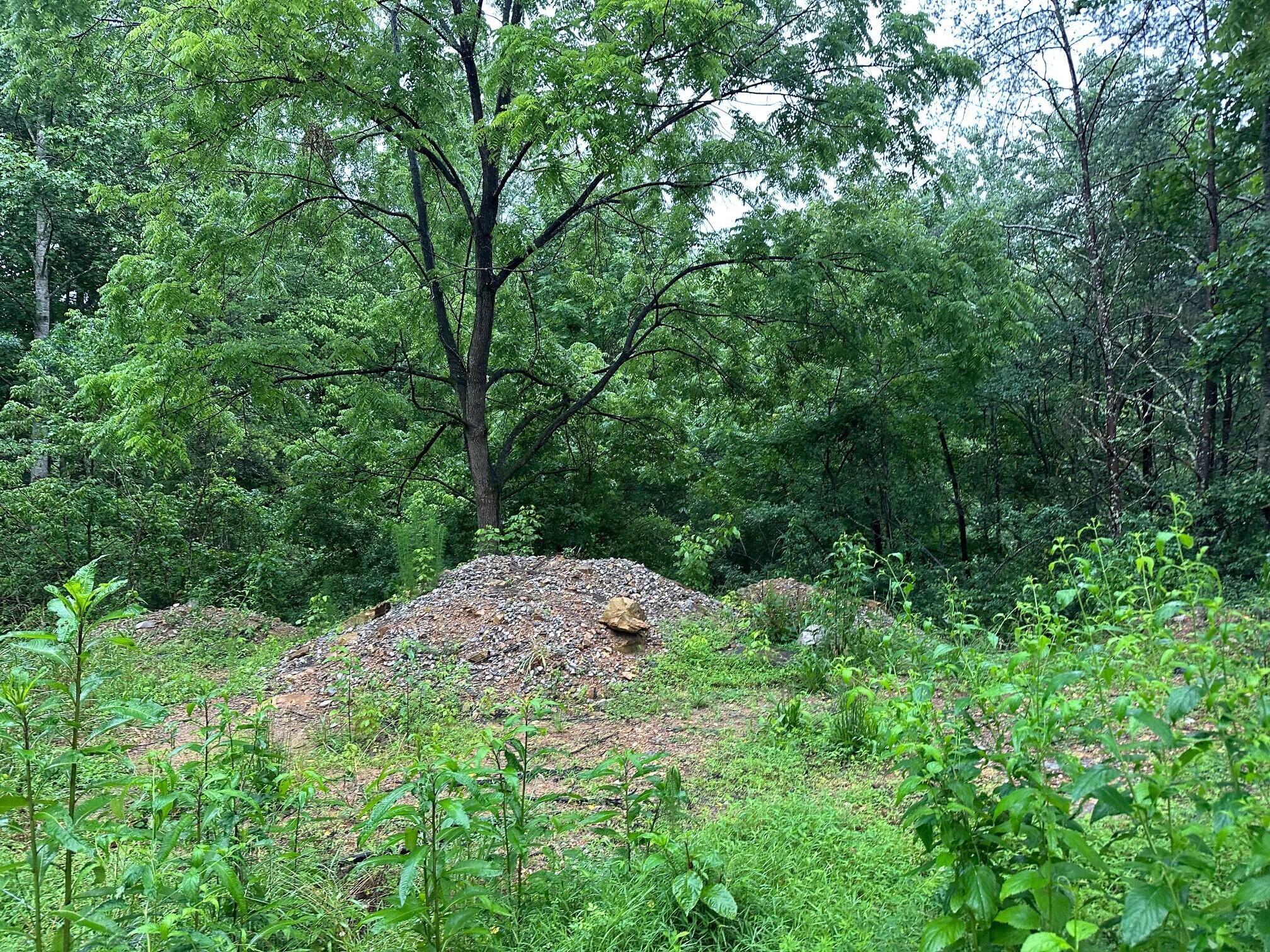 Lot 4 Sawmill Road, Unit LOT 4 Palmer, TN 37365 - Photo 5 of 9 5