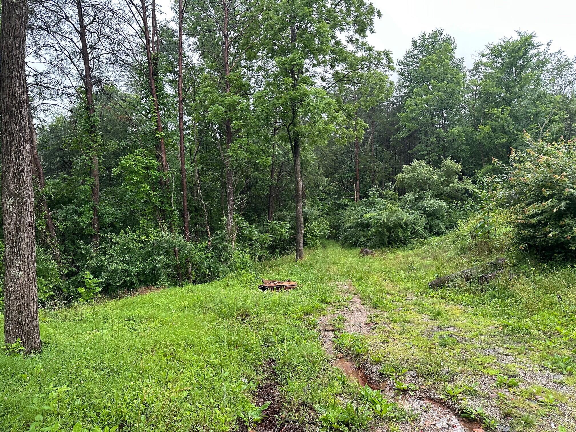 Lot 4 Sawmill Road, Unit LOT 4 Palmer, TN 37365 - Photo 7 of 9 7