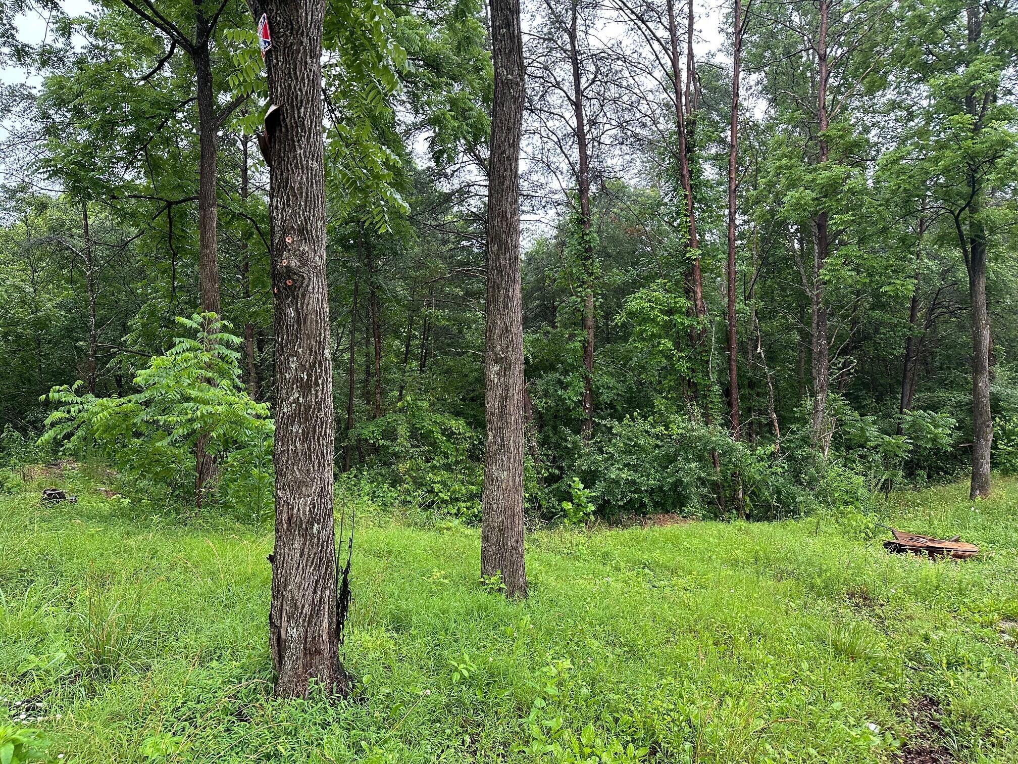 Lot 4 Sawmill Road, Unit LOT 4 Palmer, TN 37365 - Photo 8 of 9 8