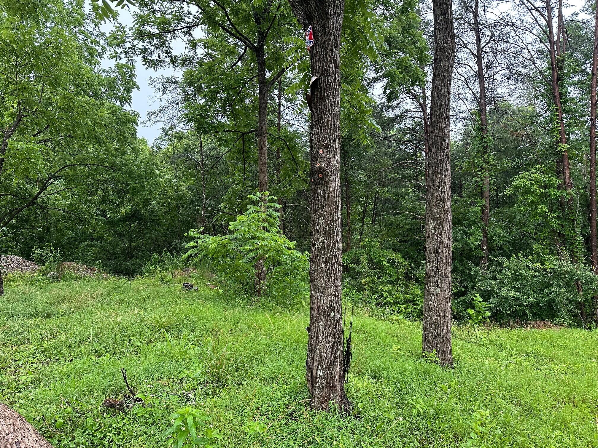 Lot 4 Sawmill Road, Unit LOT 4 Palmer, TN 37365 - Photo 9 of 9 9