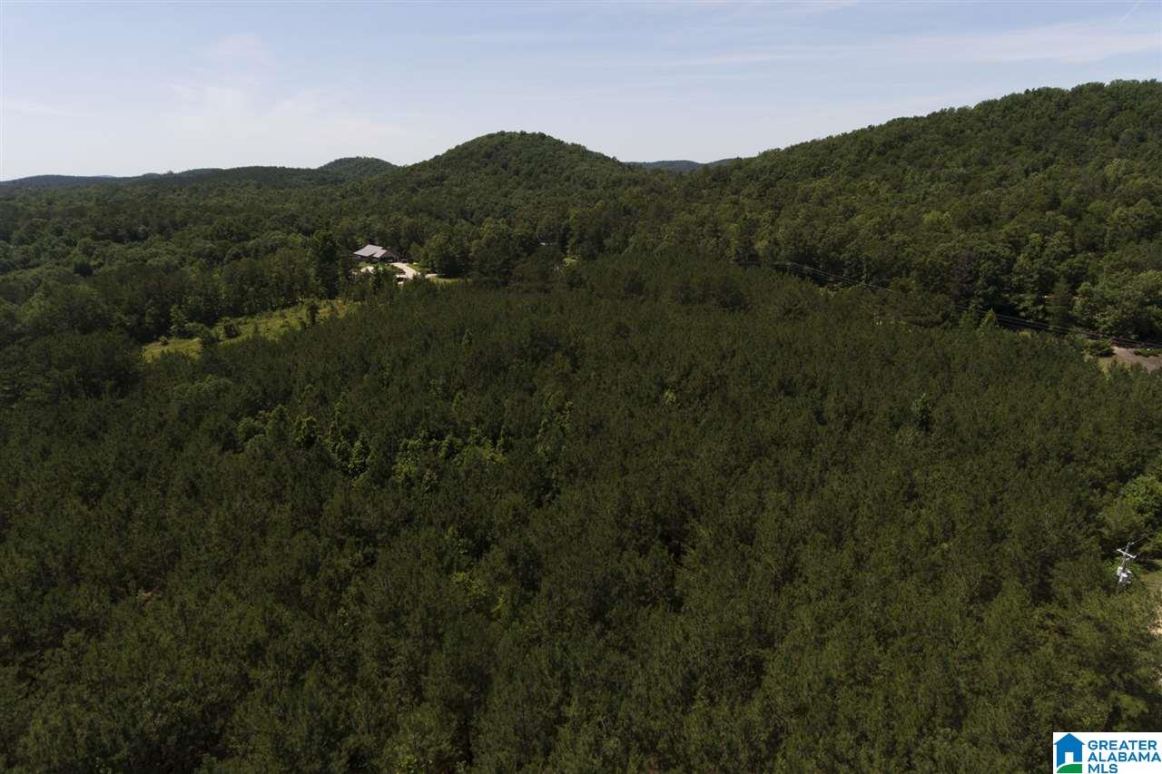 0 Williams Road, Unit 1 Jacksonville, AL 36265 - Photo 3 of 11