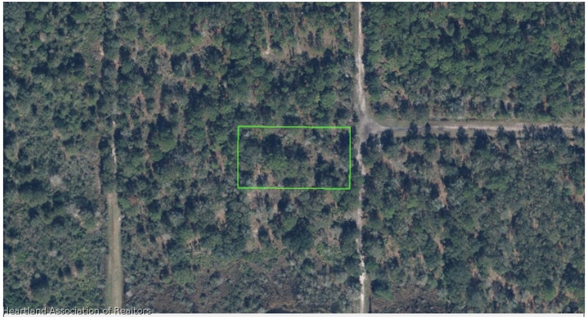 2000 South Gabriel Road Avon Park, FL 33825 - Photo 2 of 2 Gallery Image 2
