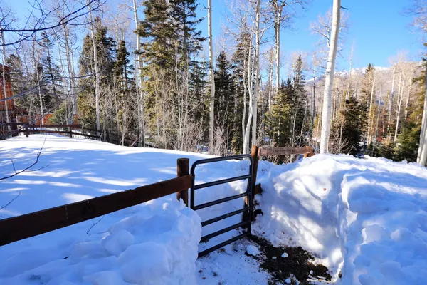 $3,200,000 | 662 Fox Farm Road, Telluride, CO 81435