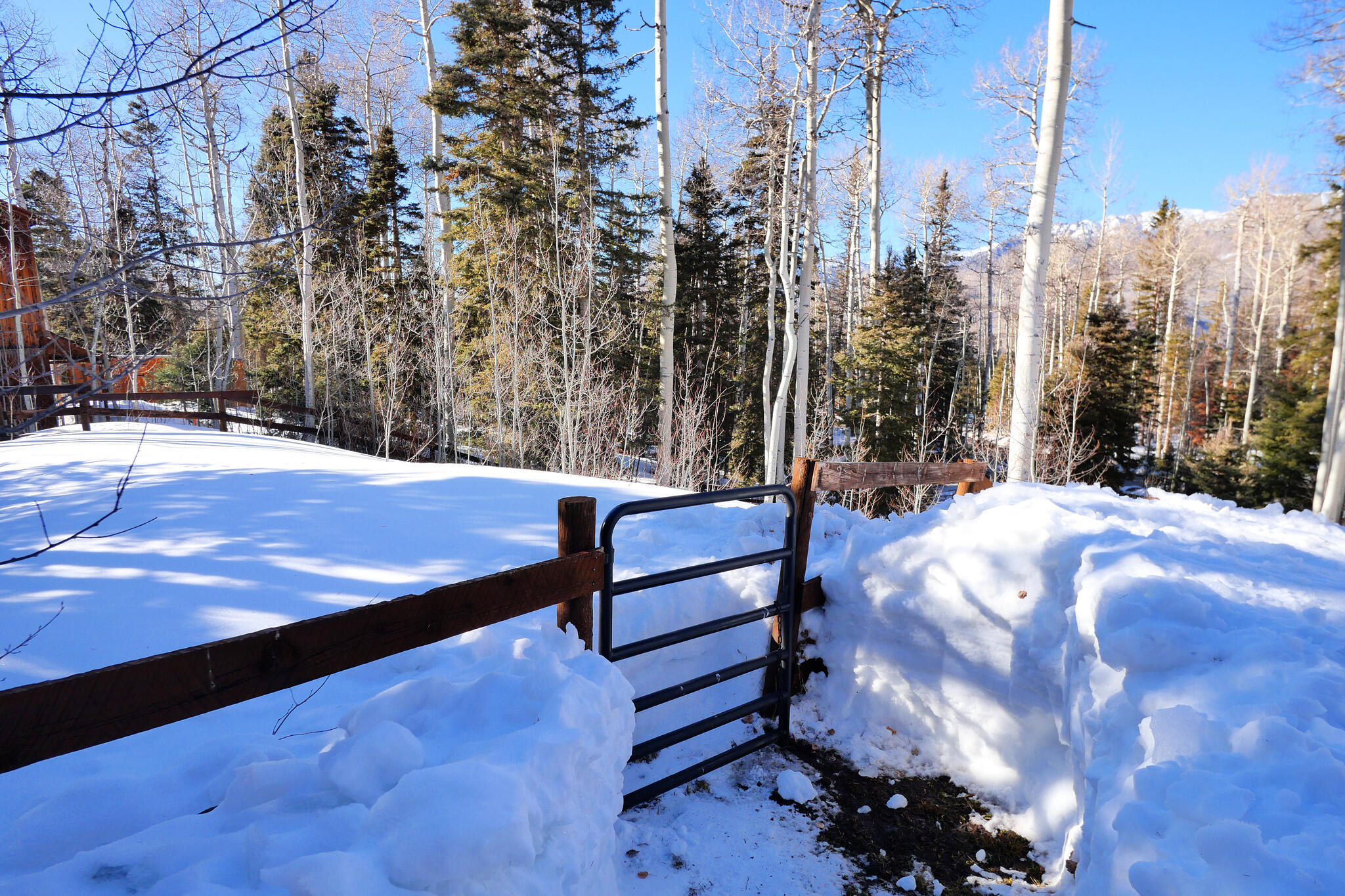 662 Fox Farm Road Telluride, CO 81435 - Photo 54 of 59 Corral Gate near House