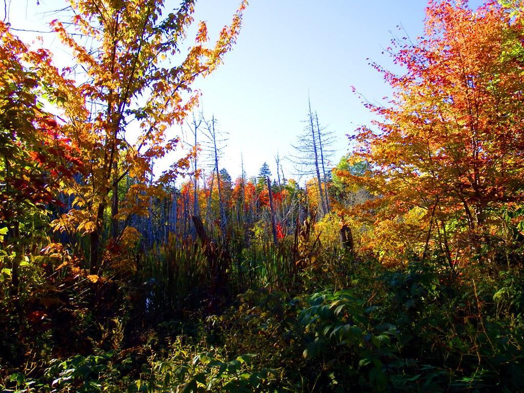 Lot 2 Laskey Road Houlton, ME 04730 - Photo 15 of 16 Photo