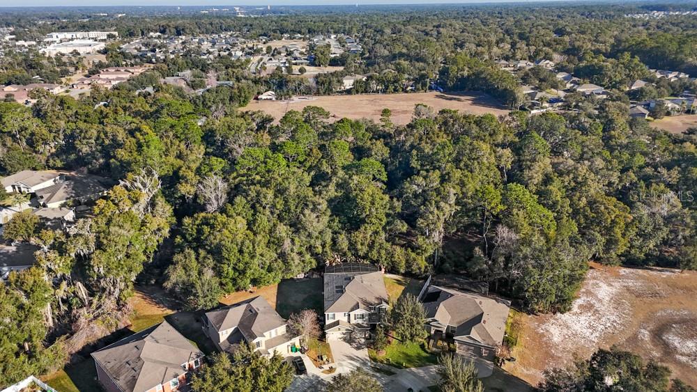 706 Fringe Tree Court Deland, FL 32724 - Photo 66 of 70 an aerial view of residential house with yard and outdoor seating