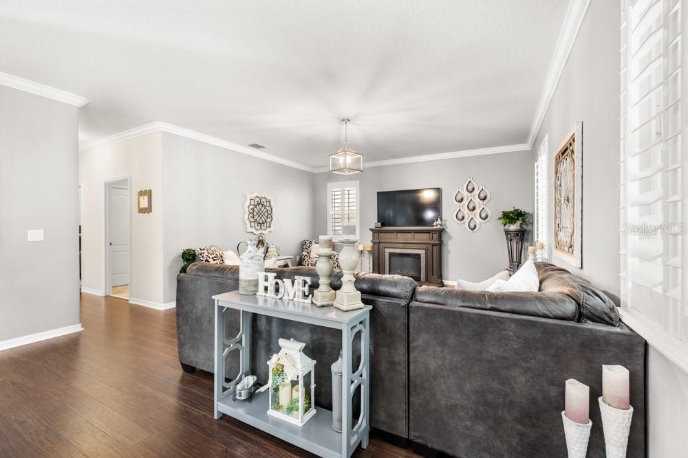 706 Fringe Tree Court Deland, FL 32724 - Photo 8 of 70 a living room with furniture a fireplace and a flat screen tv