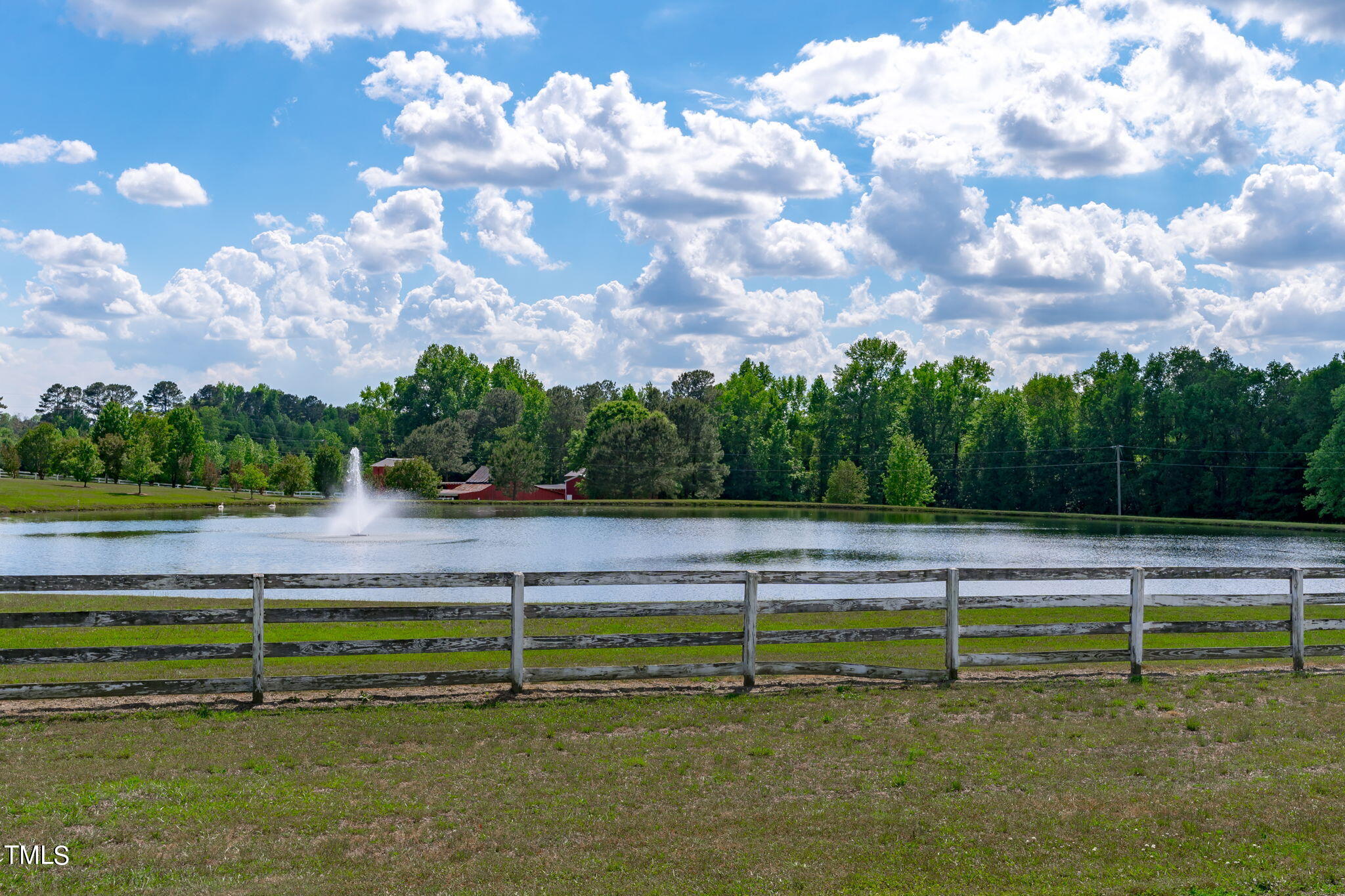 921 White Memorial Church Road Willow Spring, NC 27592 - Photo 40 of 46 Pond, Not on Property