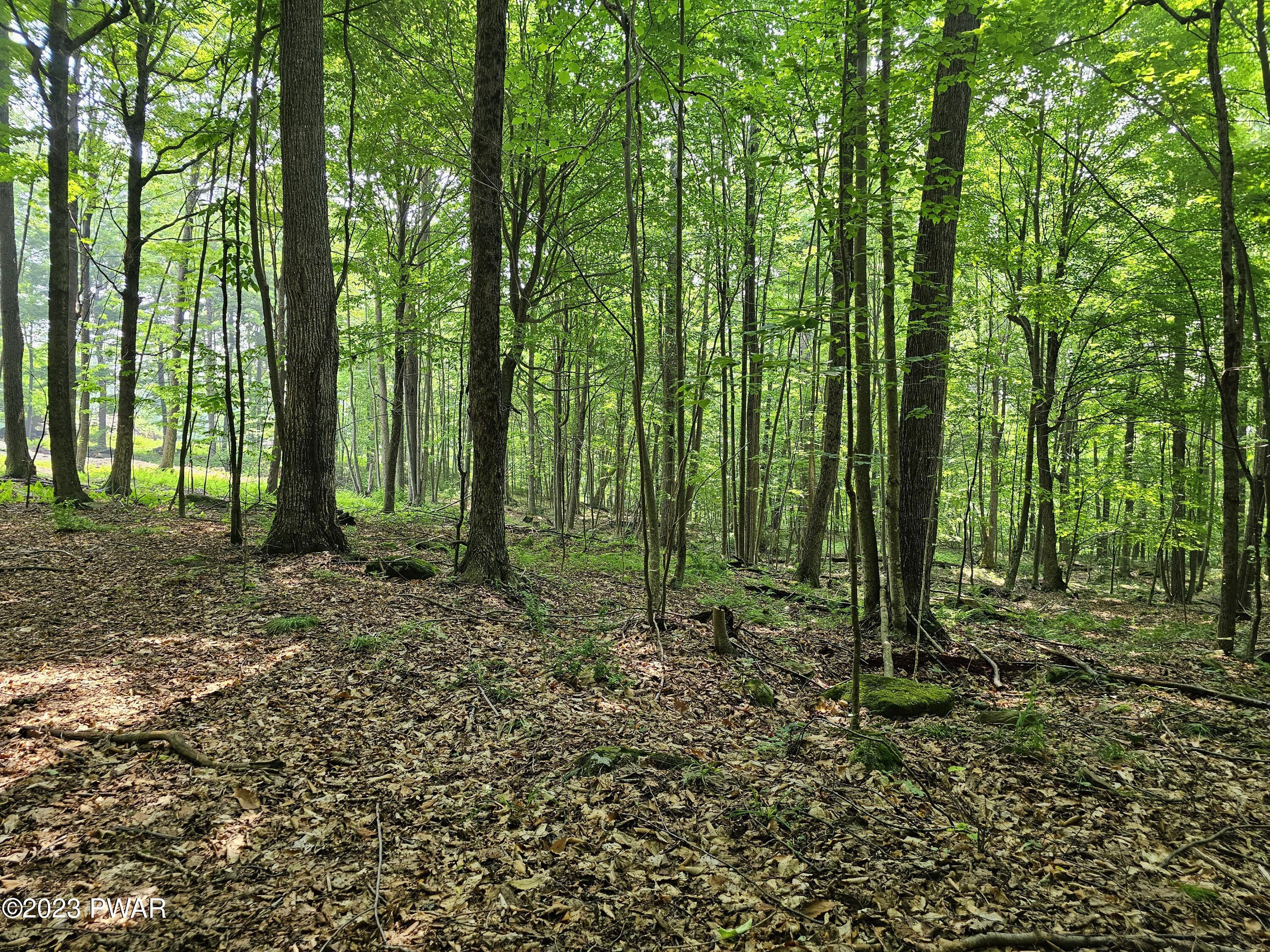 Lot 61 Rock Run Road Damascus, PA 18415 - Photo 4 of 56