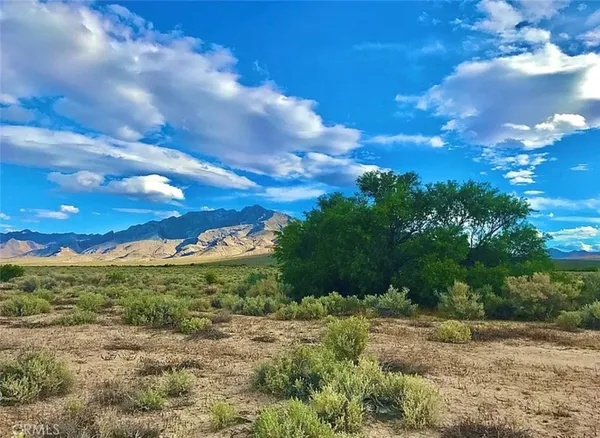 a view of a field with an trees