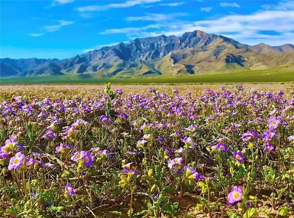 a view of lake with mountain