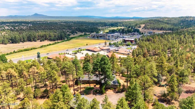 a view of a town with mountains in the background