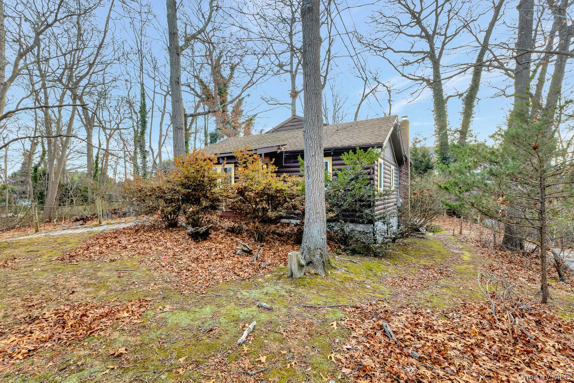62 Birch Hill Road Mount Sinai, NY 11766 - Photo 2 of 36 a view of a yard with plants and a large tree