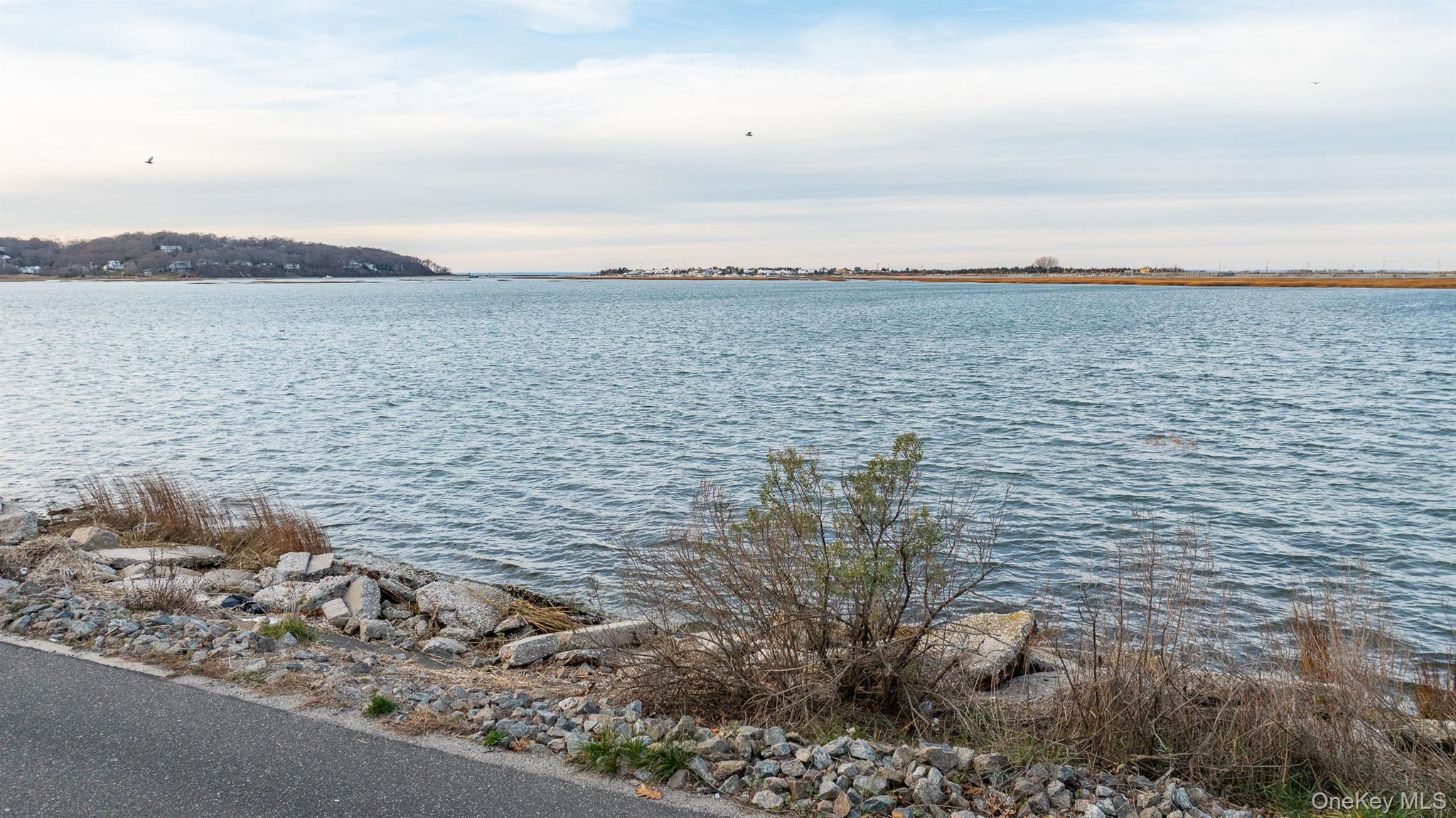 62 Birch Hill Road Mount Sinai, NY 11766 - Photo 34 of 36 a view of lake and mountain