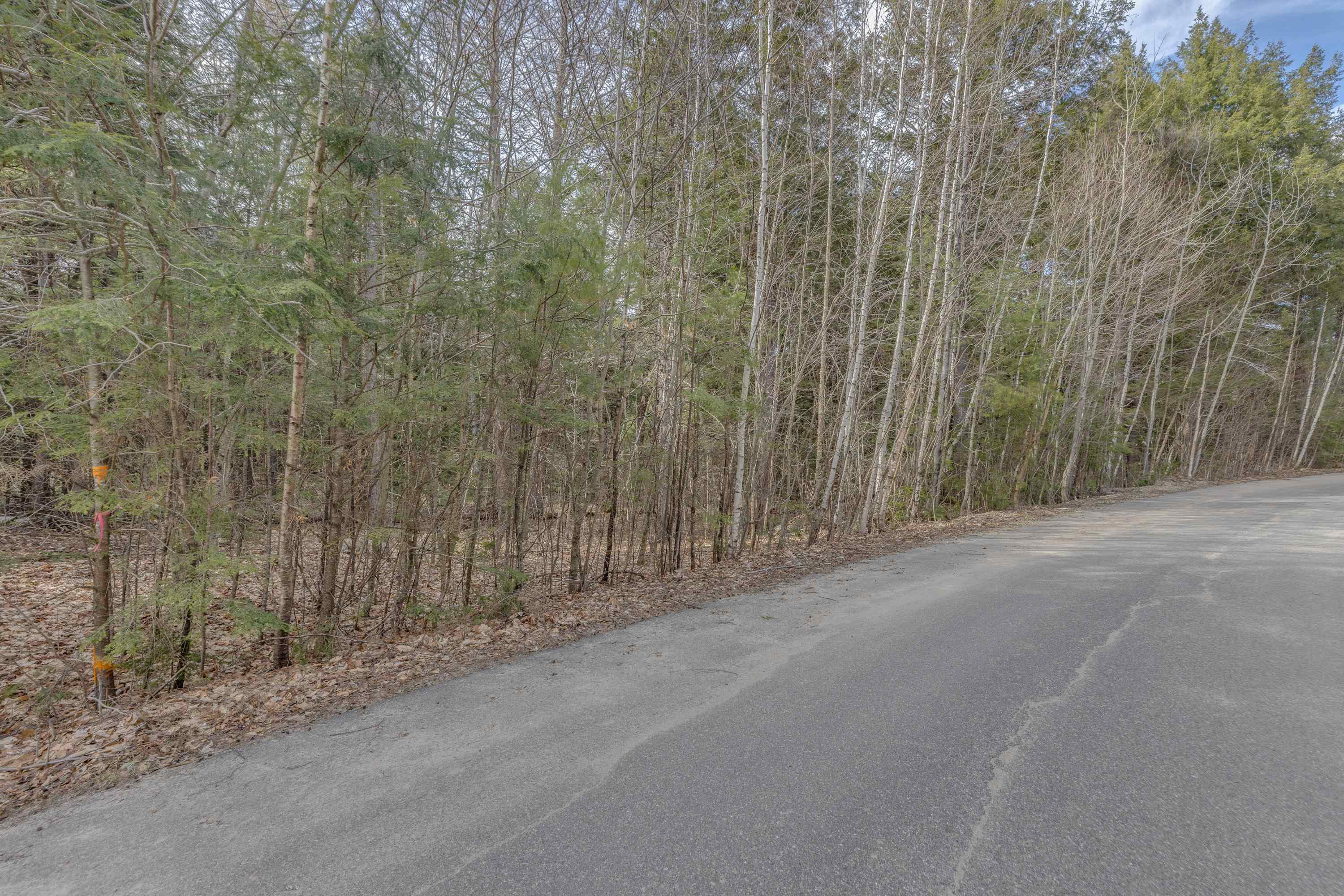 Lot 2 Equinox Road Thornton, NH 03285 - Photo 10 of 17
