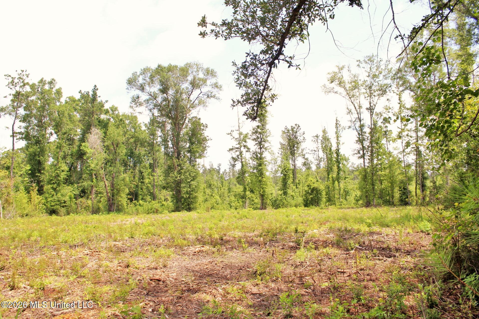 24.48-ac River Road Lucedale, MS 39452 - Photo 10 of 19 IMG_3919