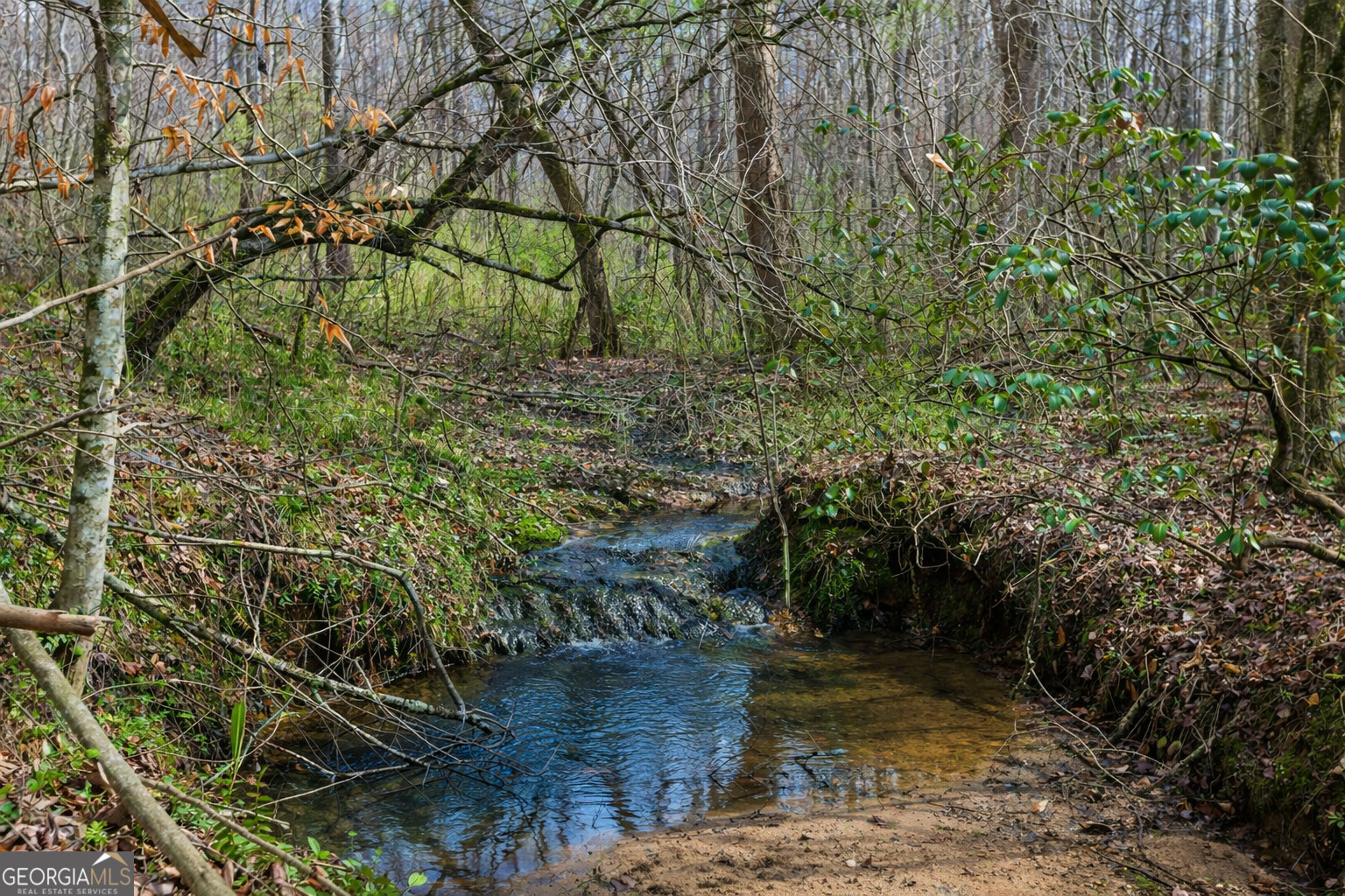 2325 Stonepile Road, Unit LOT 3 Clarkesville, GA 30523 - Photo 3 of 26