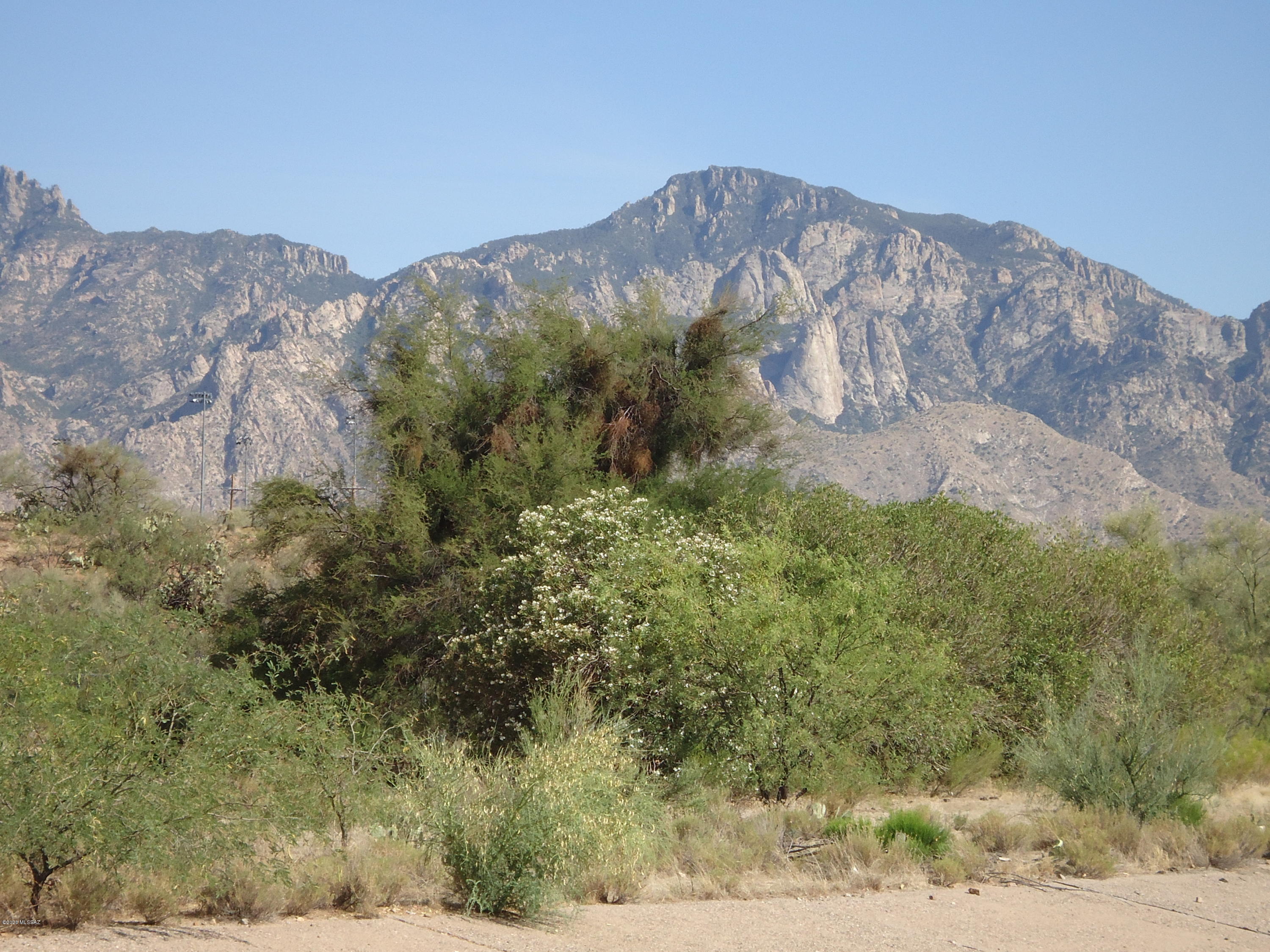 15201 North Oracle Road Tucson, AZ 85739 - Photo 8 of 10 Gallery Image 8