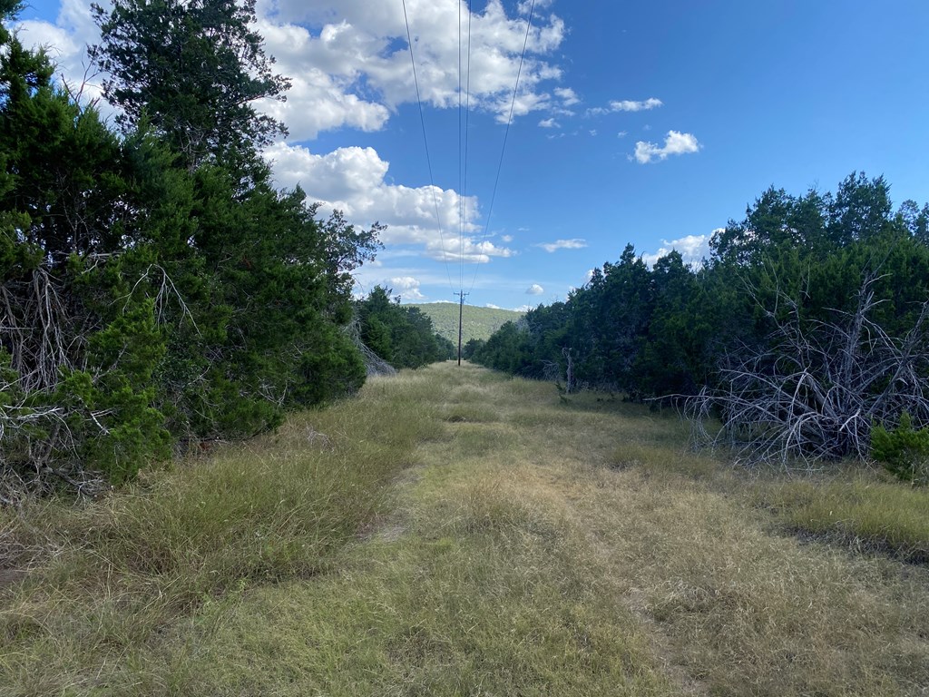 0 Old Rocksprings Road Leakey, TX 78873 - Photo 4 of 18