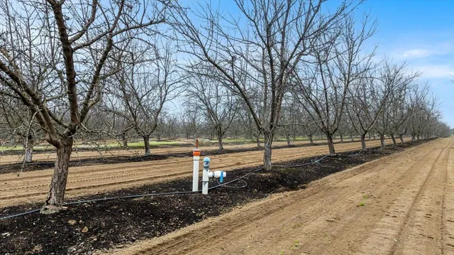 a view of a yard with trees on the road