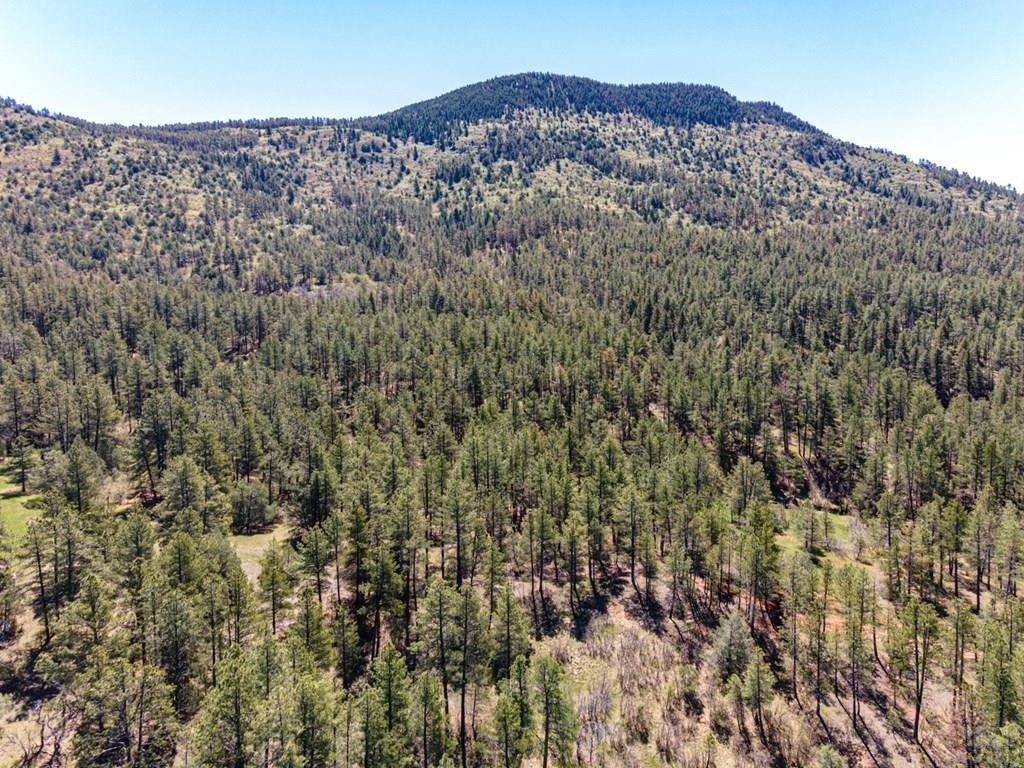 Tbd North Northcreek Road Beulah, CO 81023 - Photo 4 of 8