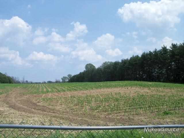 1739 South Goetze Road Applegate, MI 48401 - Photo 11 of 13 31191274-10.JPG