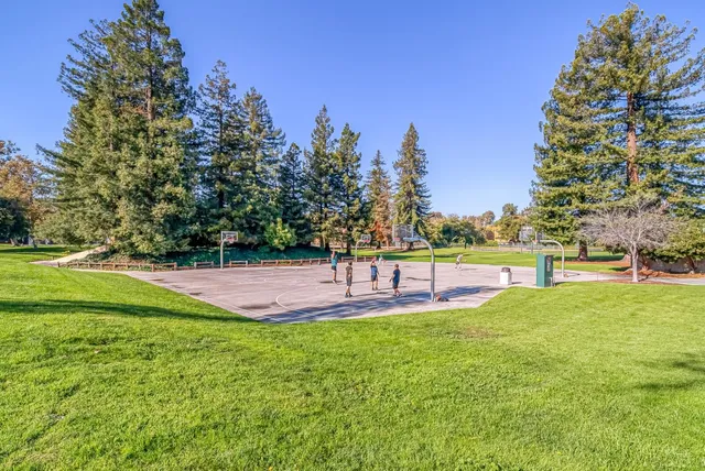 a view of a garden with a building in the background