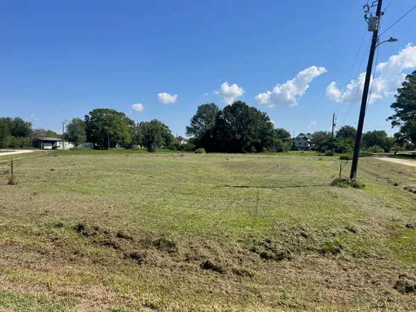 a view of a field with trees in background
