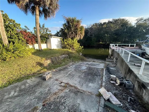 a view of a yard with plants