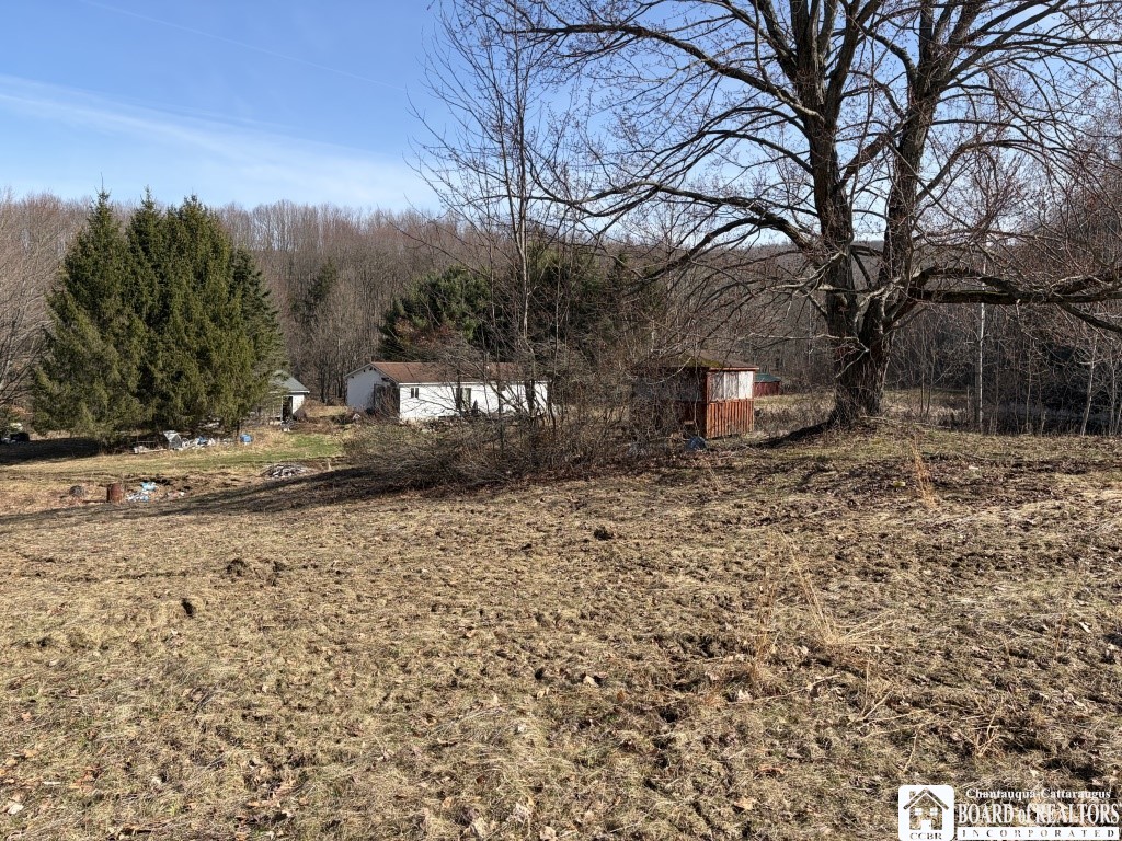 1784 Emory Hill Road Carroll, NY 14738 - Photo 6 of 34