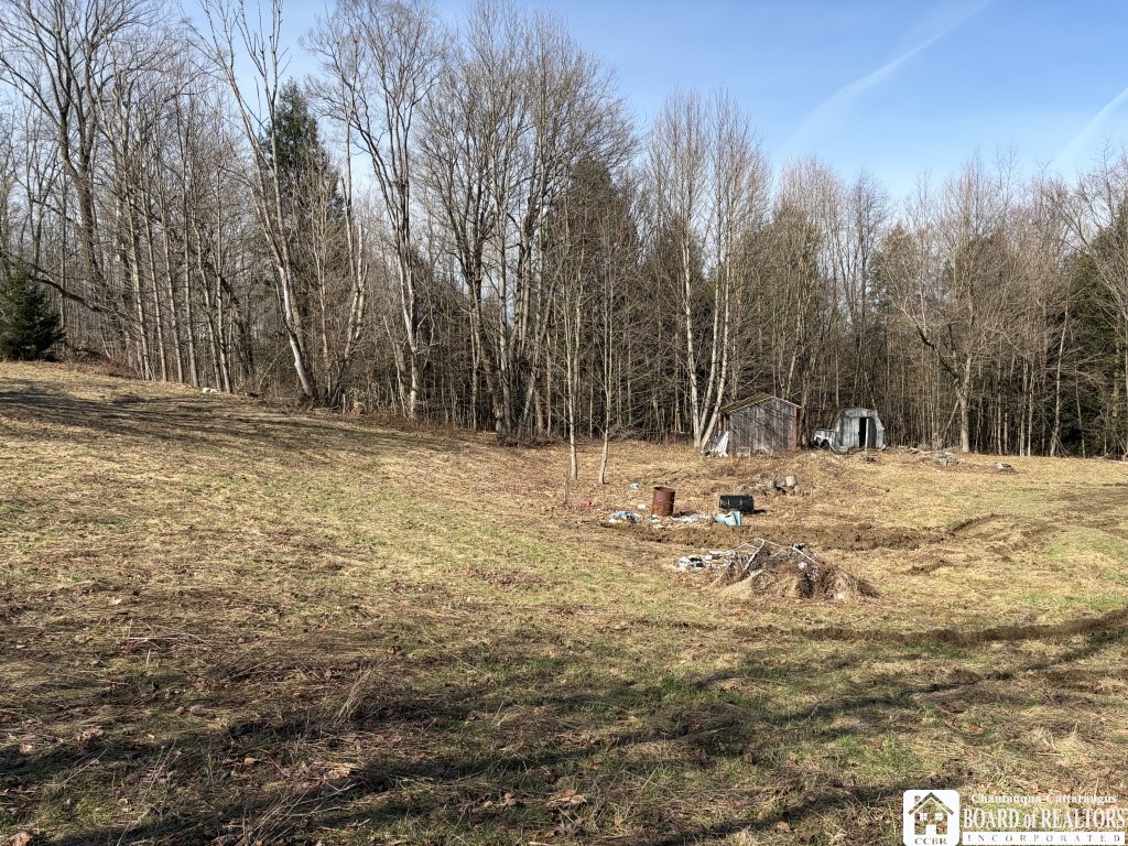 1784 Emory Hill Road Carroll, NY 14738 - Photo 10 of 34