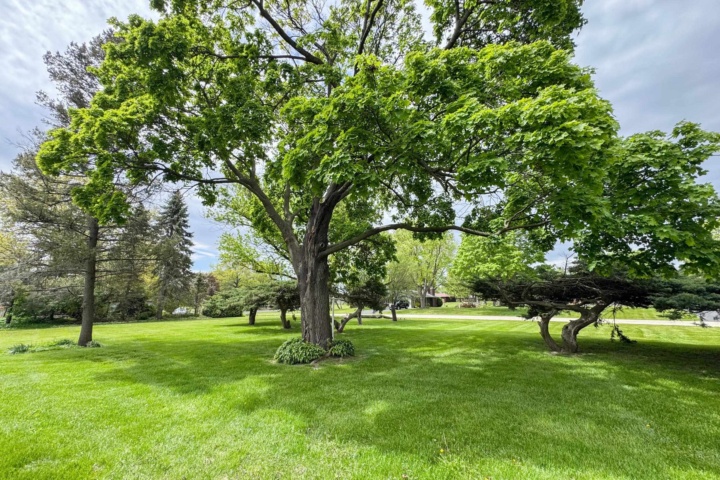 1661 Mill Road Rockford, IL 61108 - Photo 5 of 24 a view of green field with trees