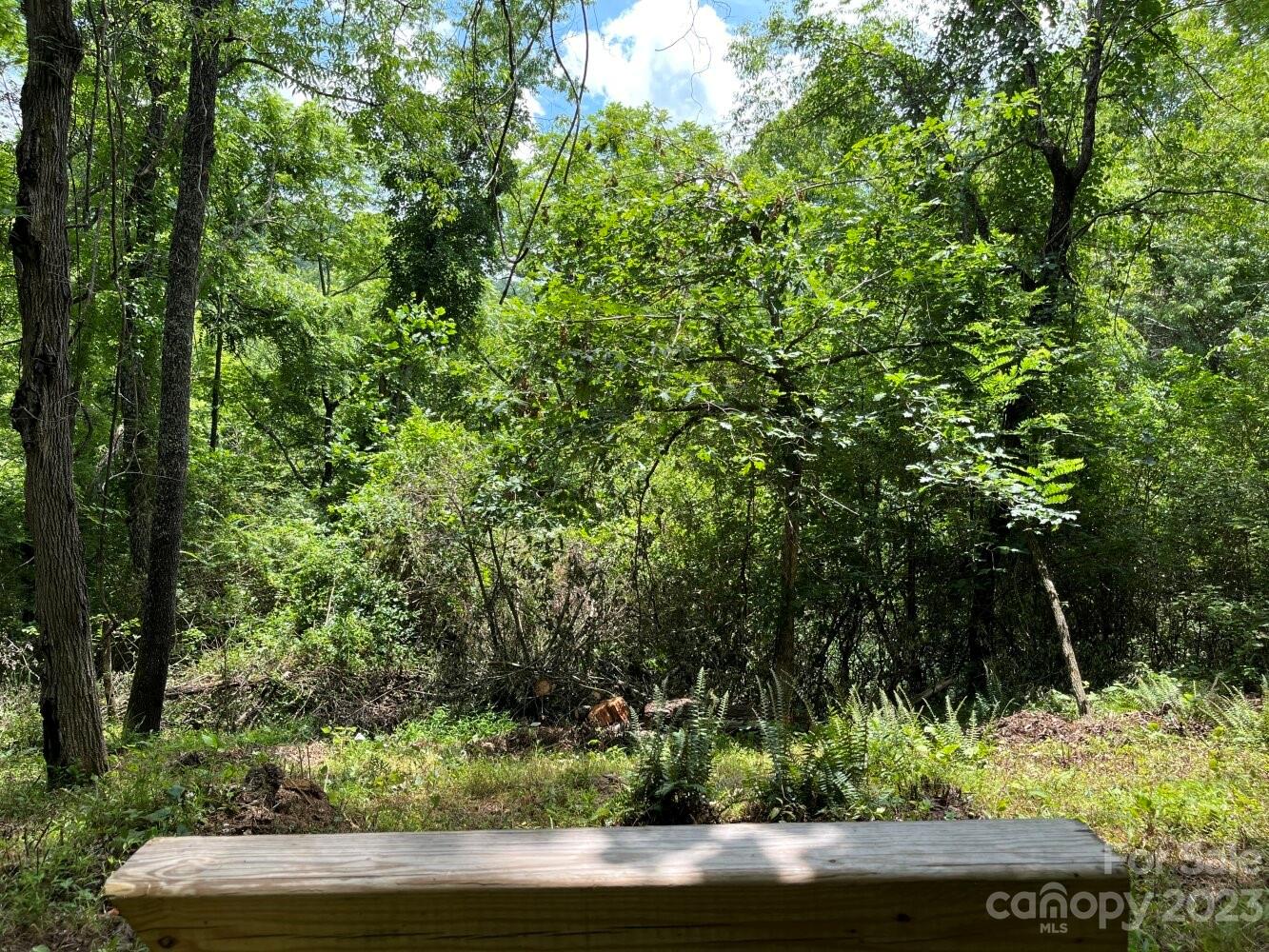 9999 Davis Cove Road Leicester, NC 28748 - Photo 1 of 15 a view of yard with green space