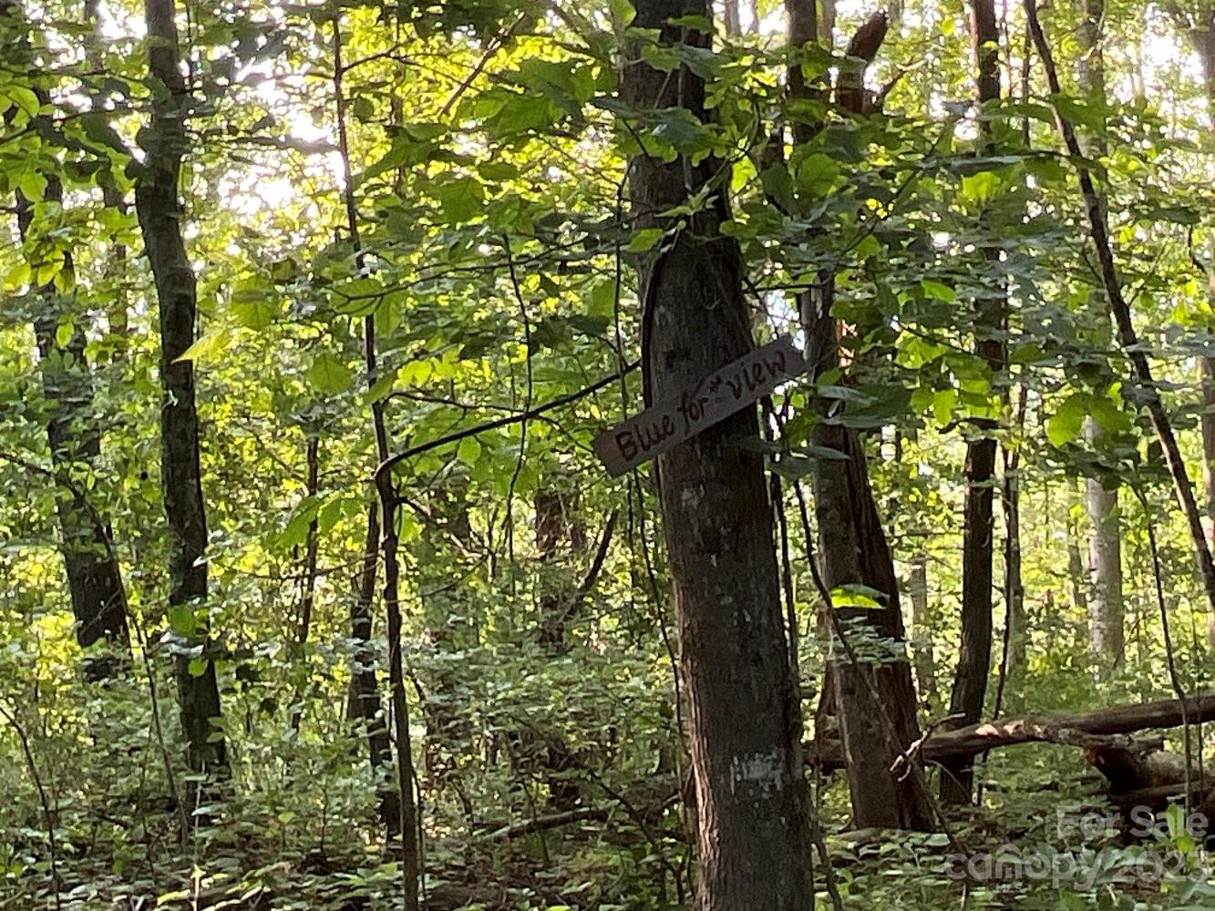 9999 Davis Cove Road Leicester, NC 28748 - Photo 12 of 15 a picture of tree