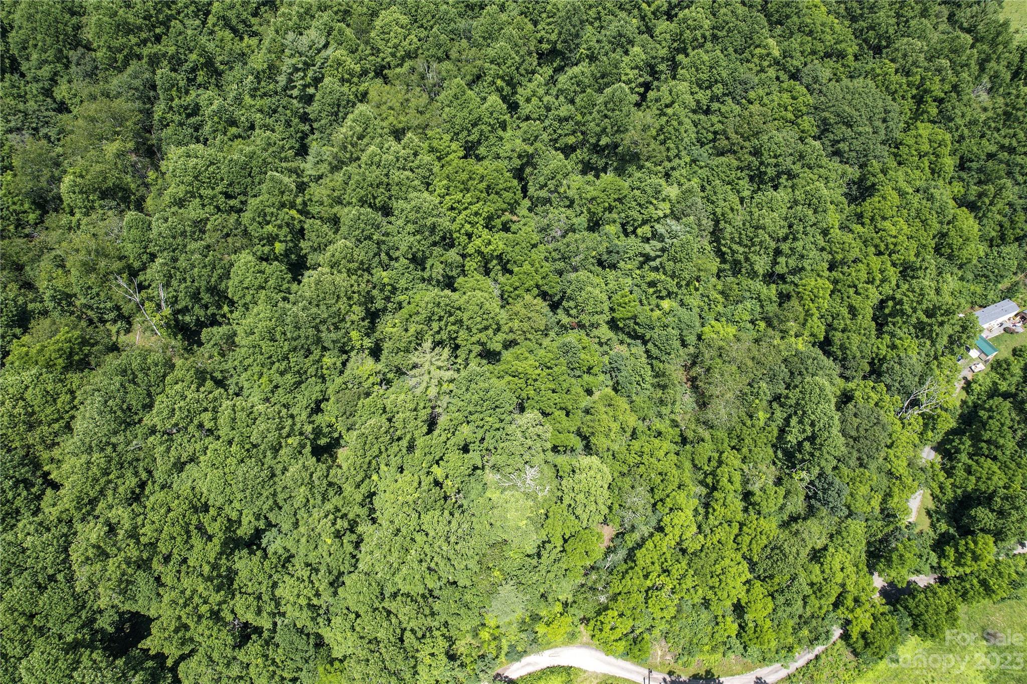 9999 Davis Cove Road Leicester, NC 28748 - Photo 2 of 15 a view of a lush green field