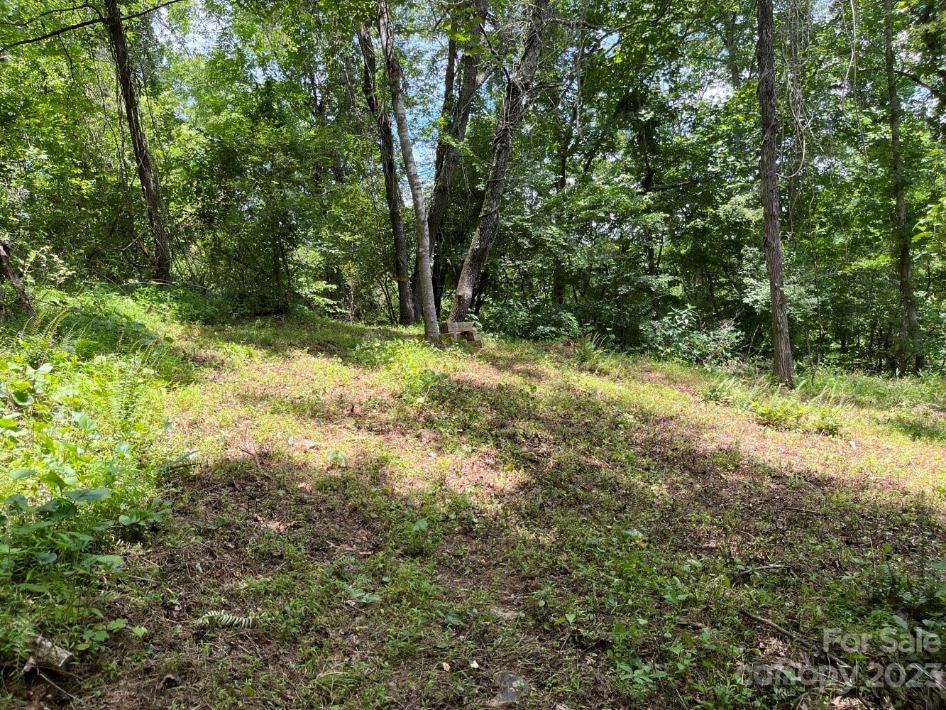 9999 Davis Cove Road Leicester, NC 28748 - Photo 4 of 15