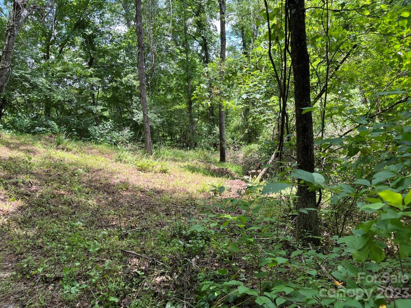 9999 Davis Cove Road Leicester, NC 28748 - Photo 5 of 15 a view of outdoor space and a yard