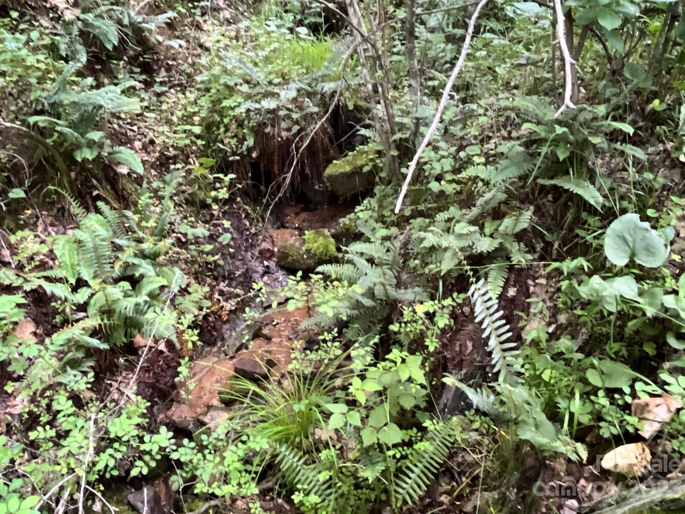 9999 Davis Cove Road Leicester, NC 28748 - Photo 7 of 15