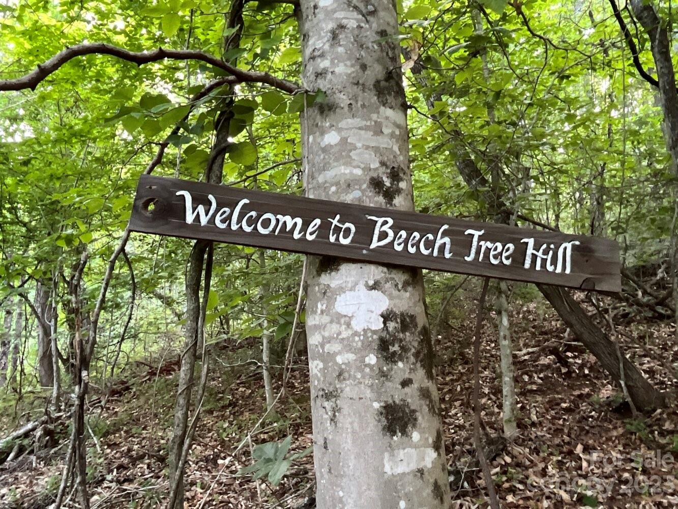 9999 Davis Cove Road Leicester, NC 28748 - Photo 10 of 15 a street sign that is on a pole